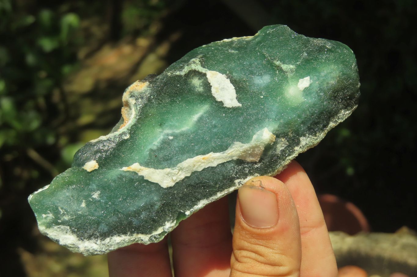 Natural Emerald Mtorolite Plates x 6 From Mutorashanga, Zimbabwe - Toprock Gemstones and Minerals 