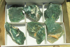 Natural Emerald Mtorolite Plates x 6 From Mutorashanga, Zimbabwe - Toprock Gemstones and Minerals 