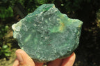 Natural Emerald Mtorolite Plates x 6 From Mutorashanga, Zimbabwe - Toprock Gemstones and Minerals 
