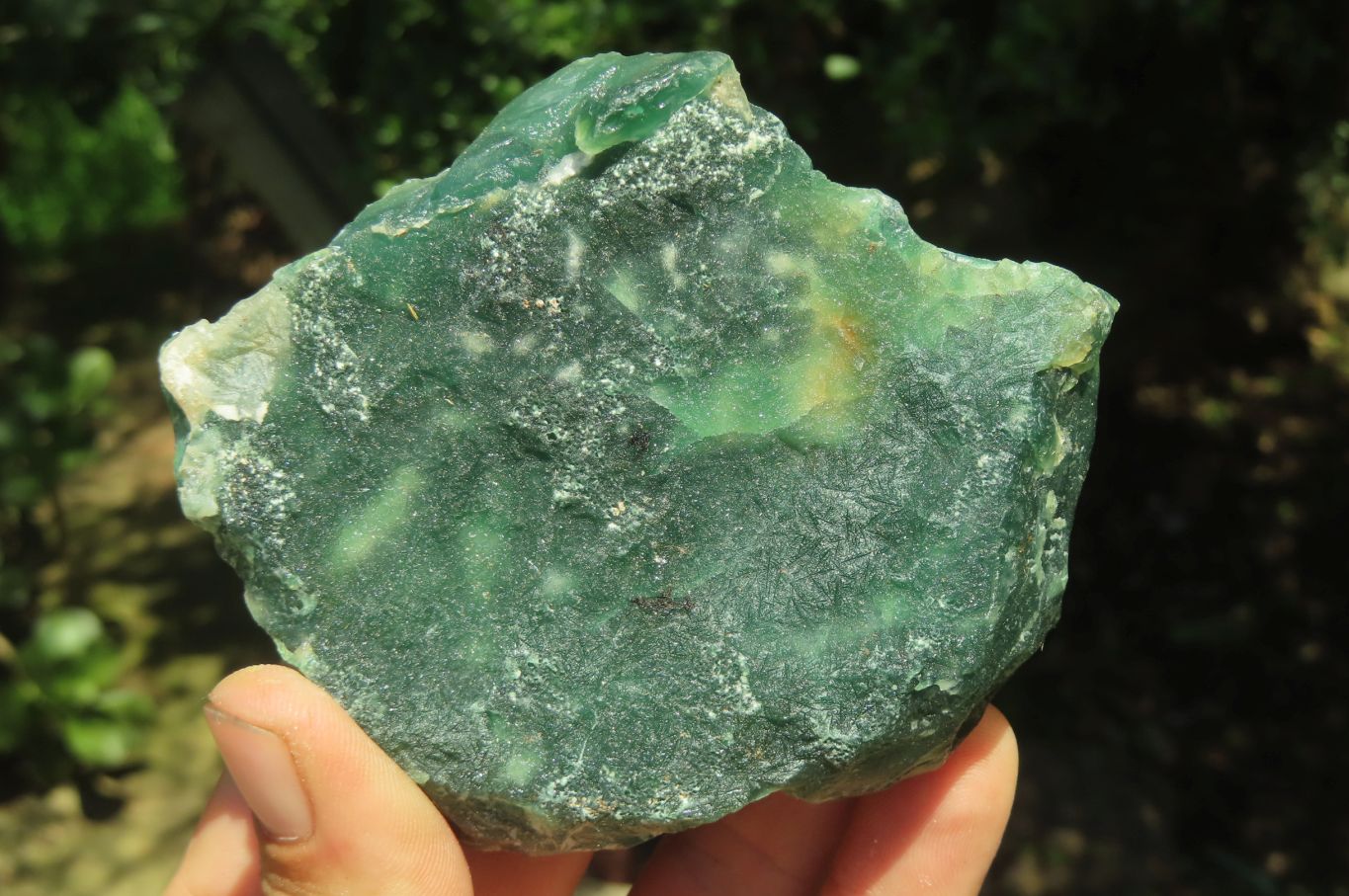 Natural Emerald Mtorolite Plates x 6 From Mutorashanga, Zimbabwe - Toprock Gemstones and Minerals 