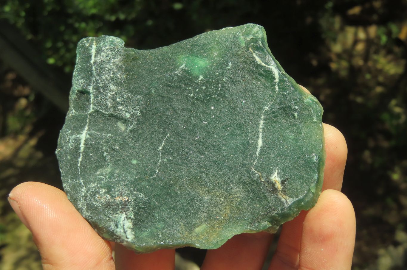 Natural Emerald Mtorolite Plates x 6 From Mutorashanga, Zimbabwe - Toprock Gemstones and Minerals 