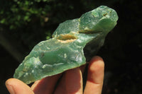 Natural Emerald Mtorolite Plates x 6 From Mutorashanga, Zimbabwe - Toprock Gemstones and Minerals 