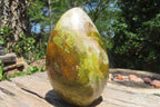 Polished Green Opal Standing Free Form x 1 From Madagascar - Toprock Gemstones and Minerals 