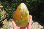 Polished Green Opal Standing Free Form x 1 From Madagascar - Toprock Gemstones and Minerals 