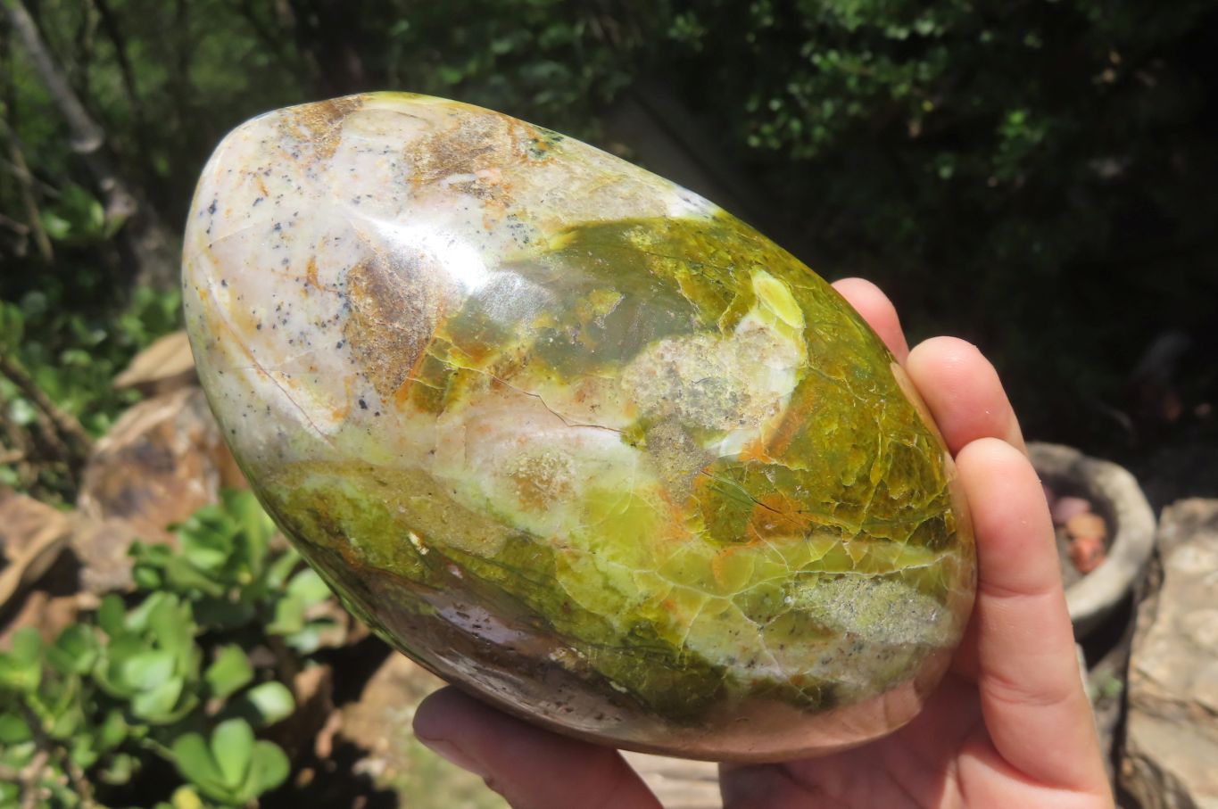 Polished Green Opal Standing Free Form x 1 From Madagascar - Toprock Gemstones and Minerals 