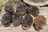 Polished Large Septerye Sauvage "Dragons" Eggs - Sold Per Item - From Madagascar - Toprock Gemstones and Minerals 