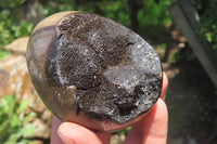 Polished Large Septerye Sauvage "Dragons" Eggs - Sold Per Item - From Madagascar - Toprock Gemstones and Minerals 