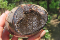 Polished Large Septerye Sauvage "Dragons" Eggs - Sold Per Item - From Madagascar - Toprock Gemstones and Minerals 