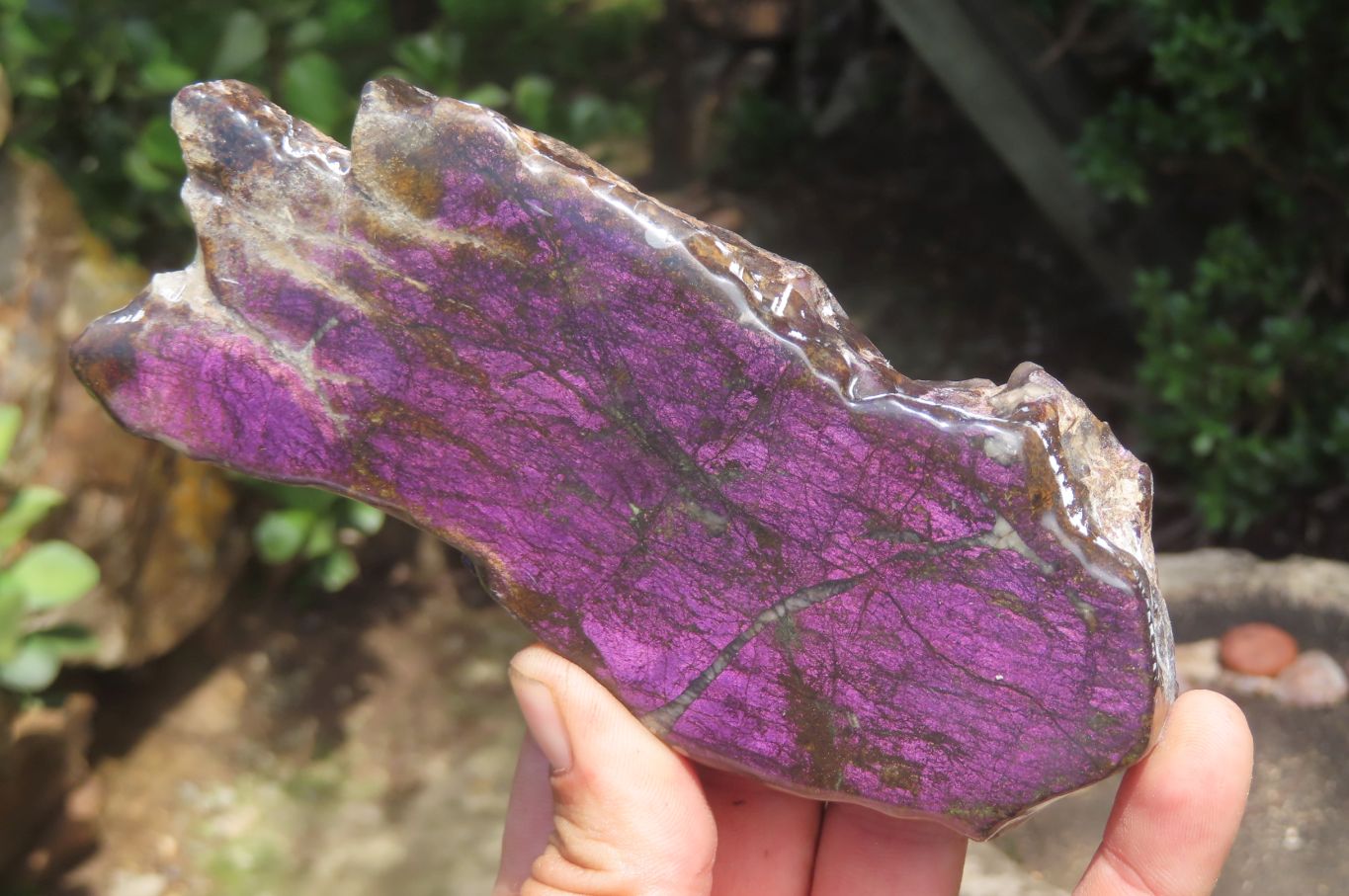 Polished On One Side Metallic Purpurite x 3 From Namibia - Toprock Gemstones and Minerals 