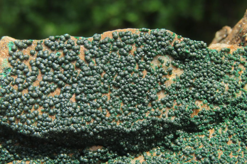 Natural Botryoidal Malachite Specimens x 3 From Tenke Fungurume, Congo - Toprock Gemstones and Minerals 