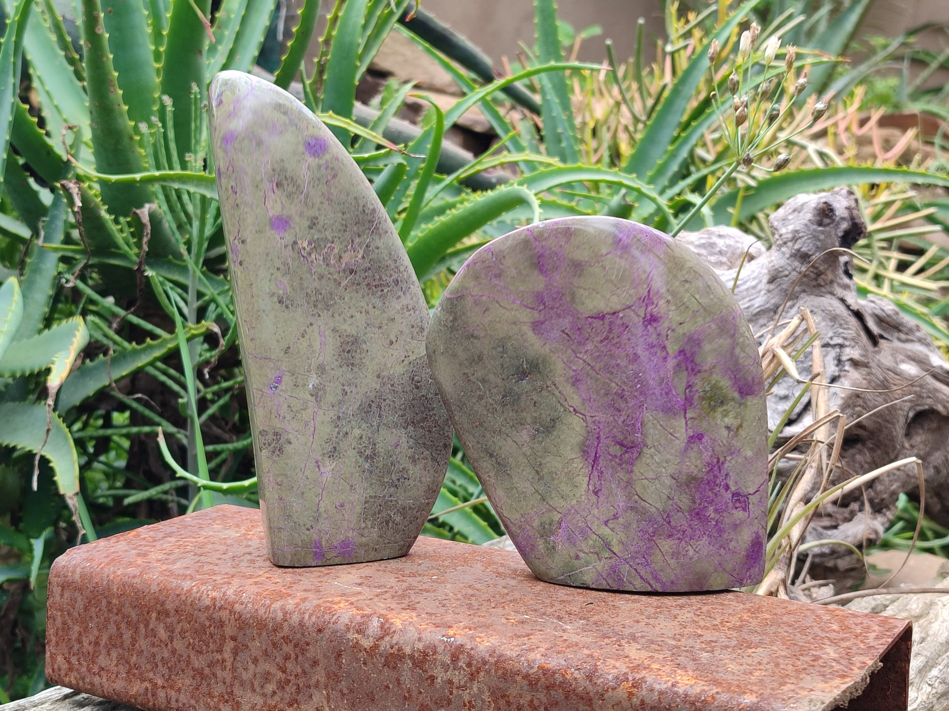 Polished Stichtite Standing Free Forms x 2 From Barberton, South Africa - Toprock Gemstones and Minerals 