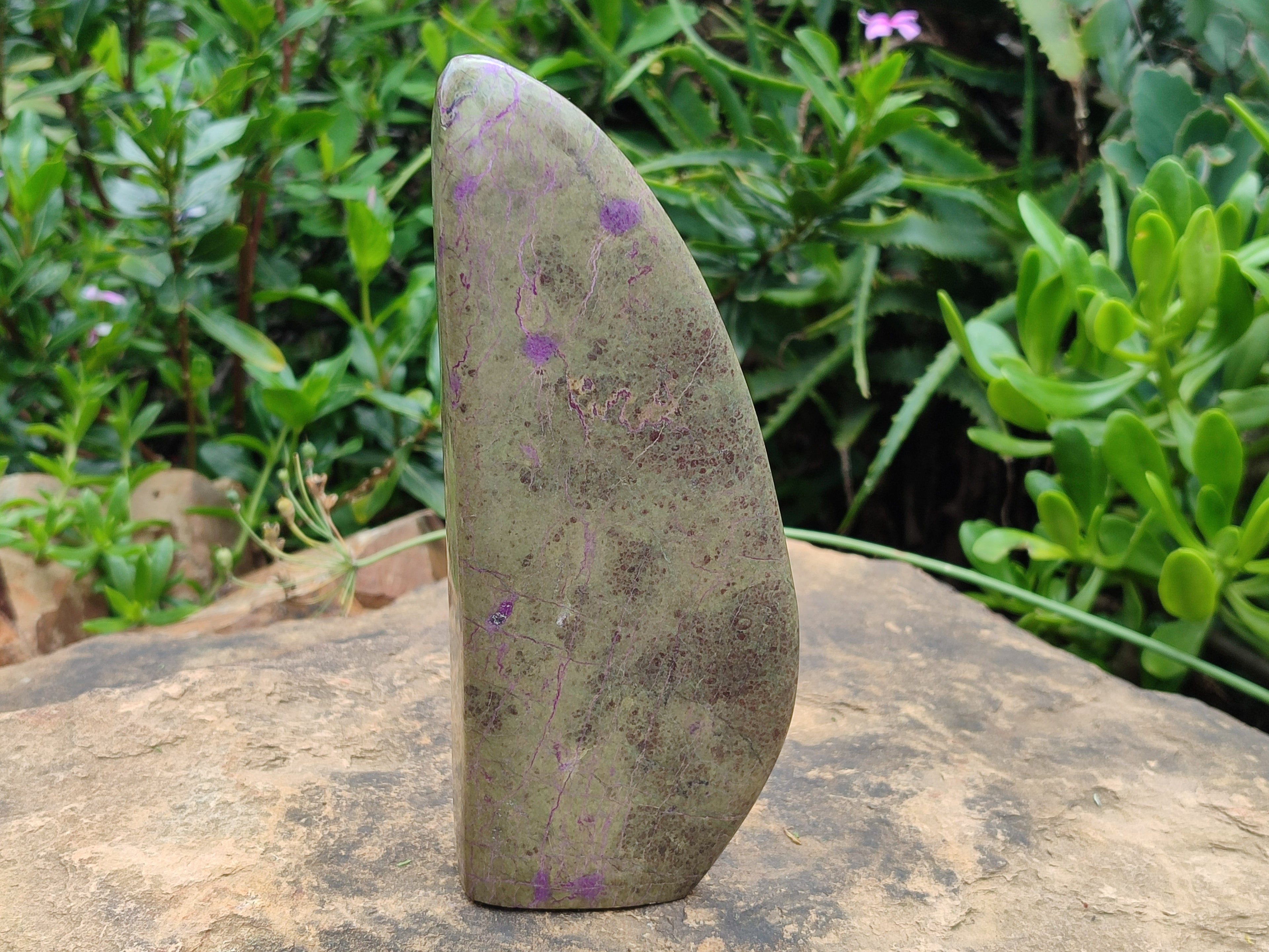 Polished Stichtite Standing Free Forms x 2 From Barberton, South Africa - Toprock Gemstones and Minerals 