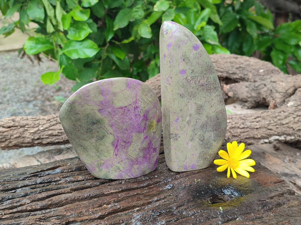 Polished Stichtite Standing Free Forms x 2 From Barberton, South Africa - Toprock Gemstones and Minerals 