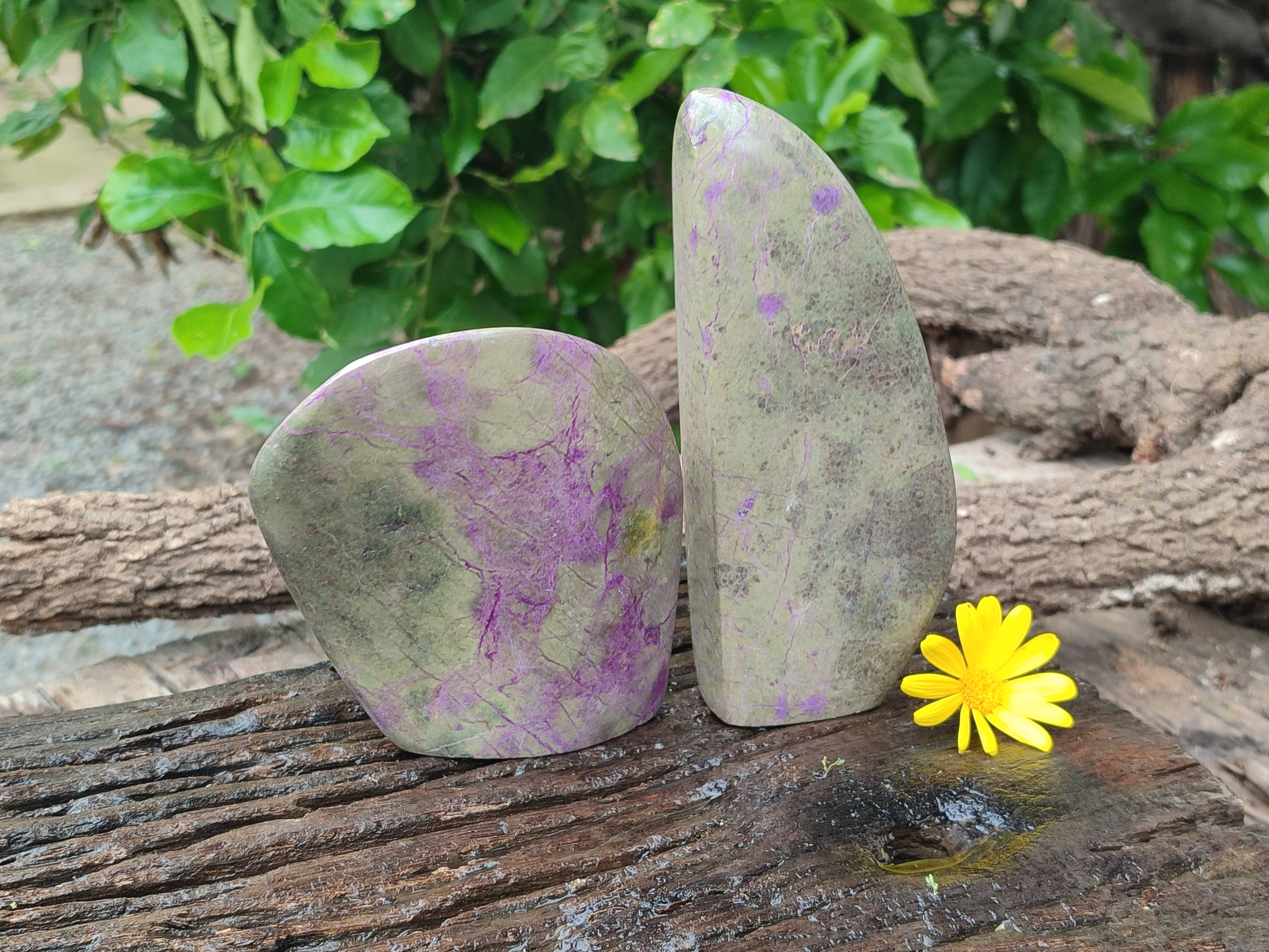 Polished Stichtite Standing Free Forms x 2 From Barberton, South Africa - Toprock Gemstones and Minerals 