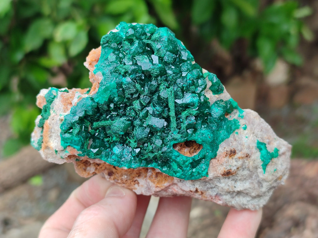 Natural Dioptase On Dolomite Specimens x 2 From Congo - Toprock Gemstones and Minerals 