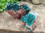 Natural Dioptase On Dolomite Specimens x 2 From Congo - Toprock Gemstones and Minerals 
