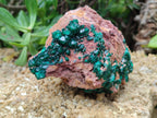 Natural Dioptase On Dolomite Specimens x 2 From Congo - Toprock Gemstones and Minerals 