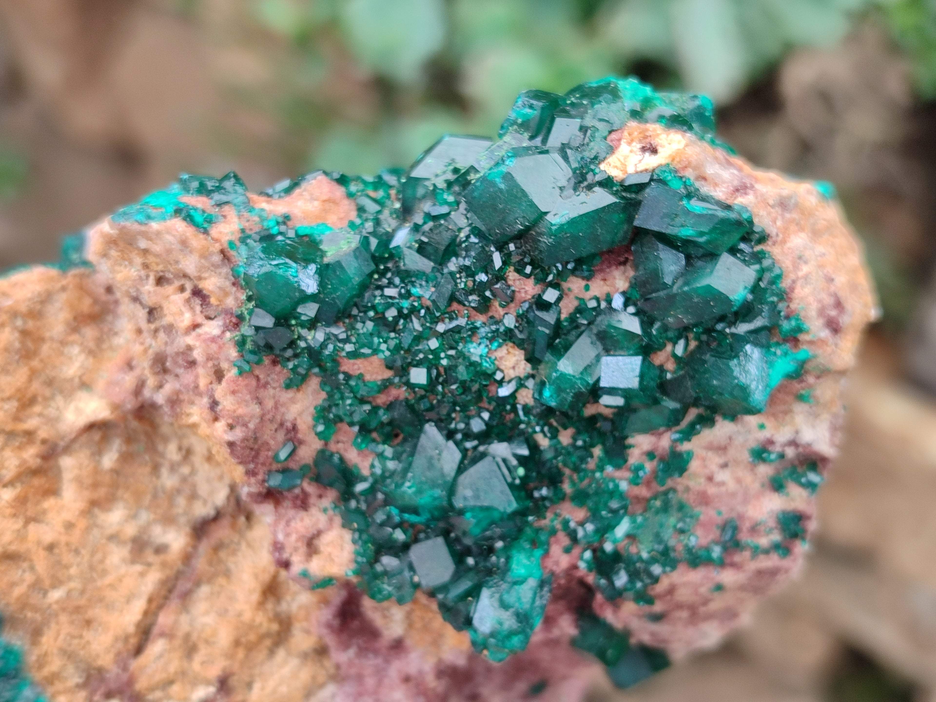 Natural Dioptase On Dolomite Specimens x 2 From Congo - Toprock Gemstones and Minerals 