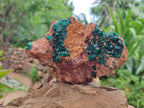 Natural Dioptase On Dolomite Specimens x 2 From Congo - Toprock Gemstones and Minerals 