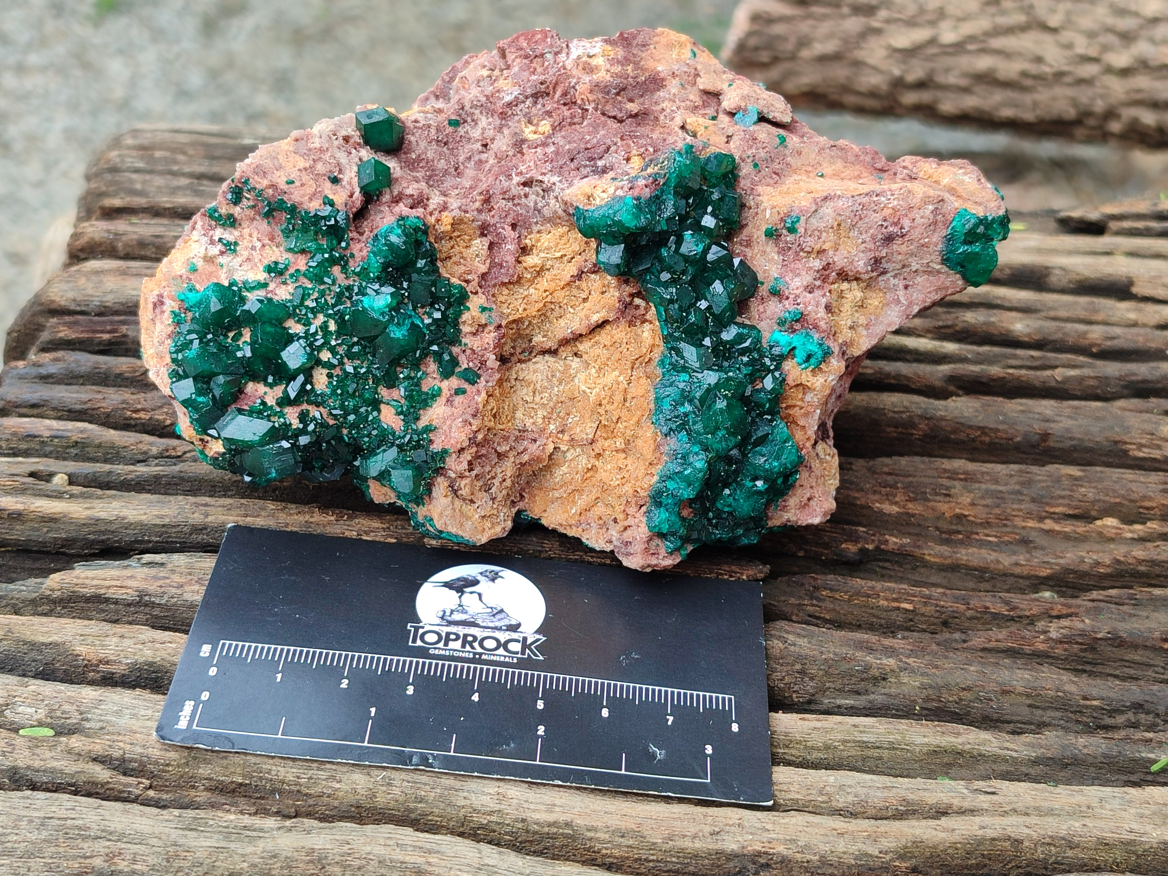 Natural Dioptase On Dolomite Specimens x 2 From Congo - Toprock Gemstones and Minerals 