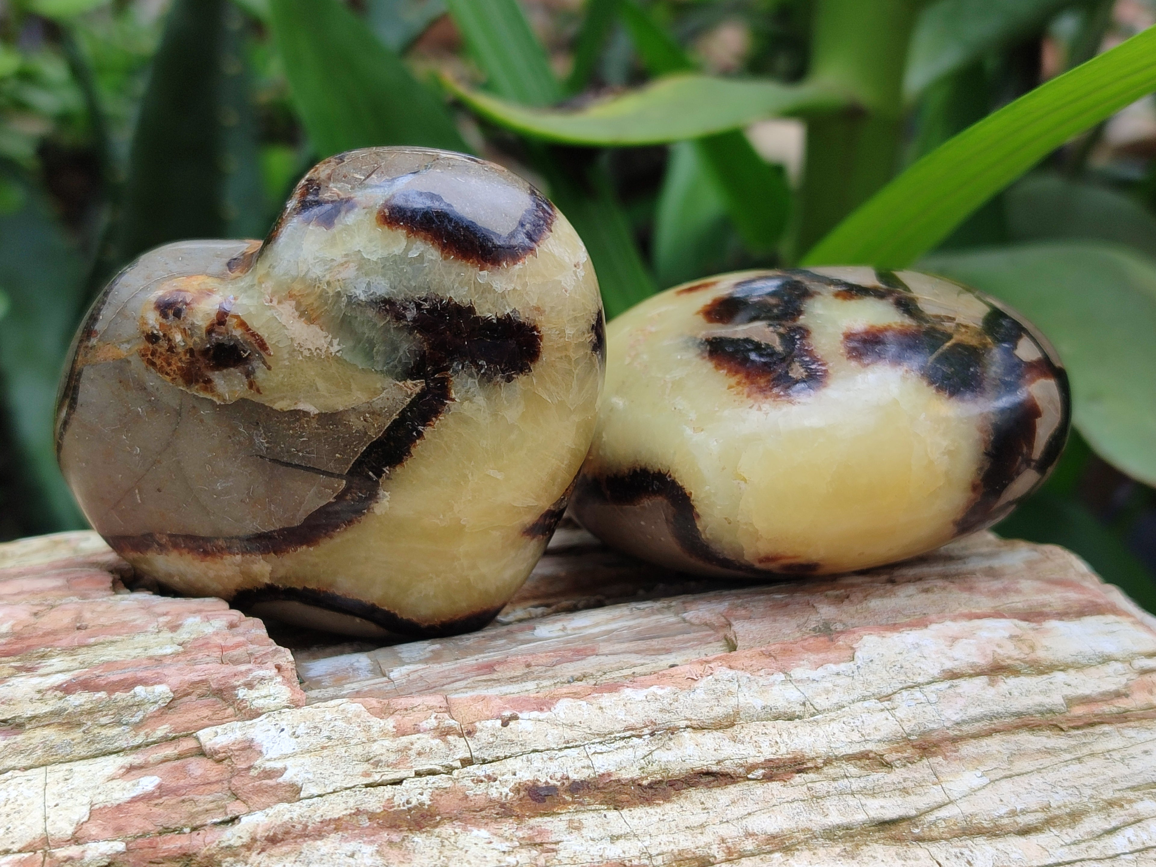 Polished Septerye Hearts 65mm -Sold Per Item- From Mahajanga, Madagascar - Toprock Gemstones and Minerals 