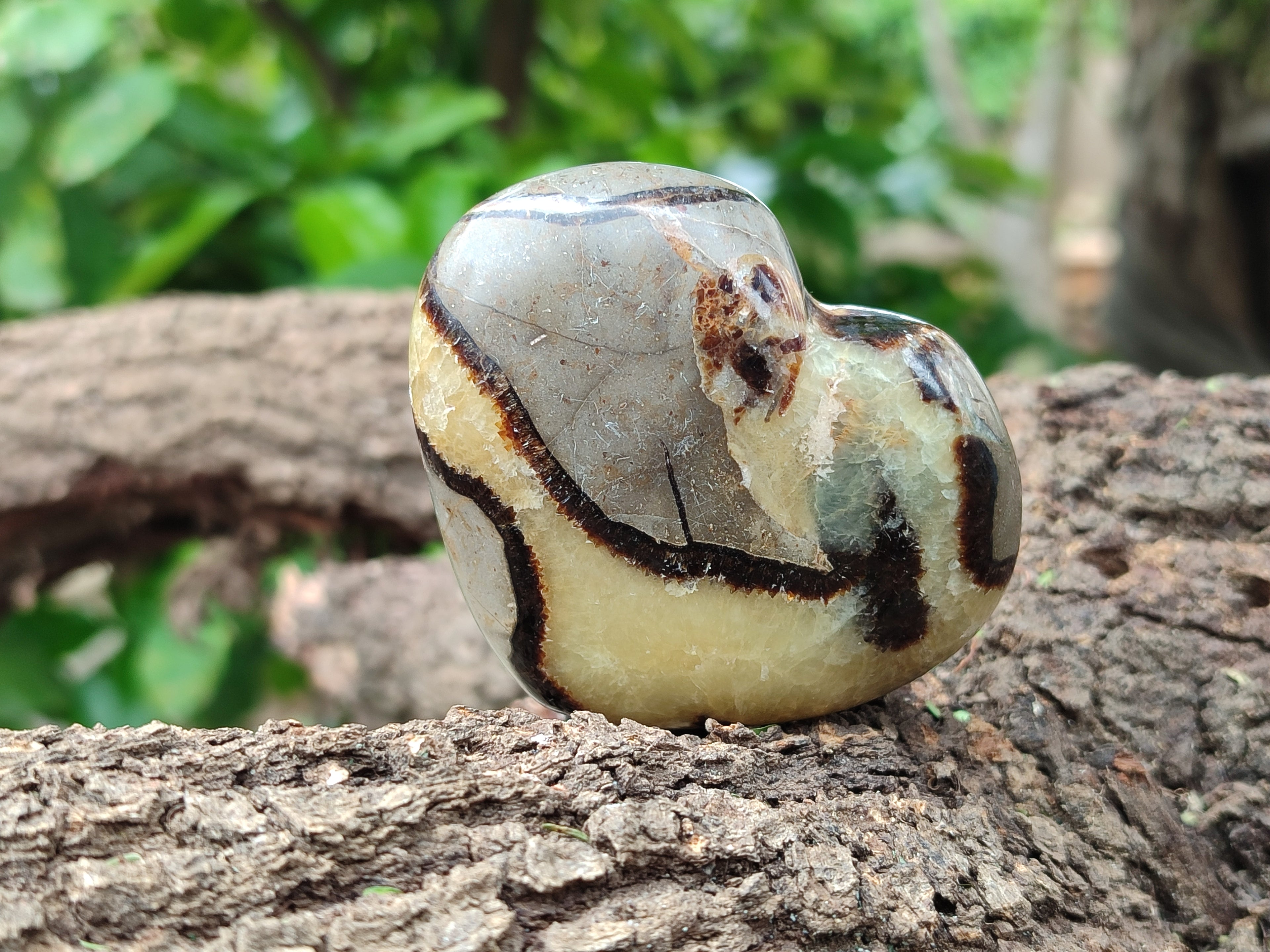 Polished Septerye Hearts 65mm -Sold Per Item- From Mahajanga, Madagascar - Toprock Gemstones and Minerals 