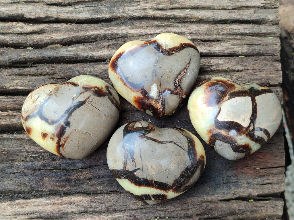 Polished Septerye Hearts 65mm -Sold Per Item- From Mahajanga, Madagascar - Toprock Gemstones and Minerals 