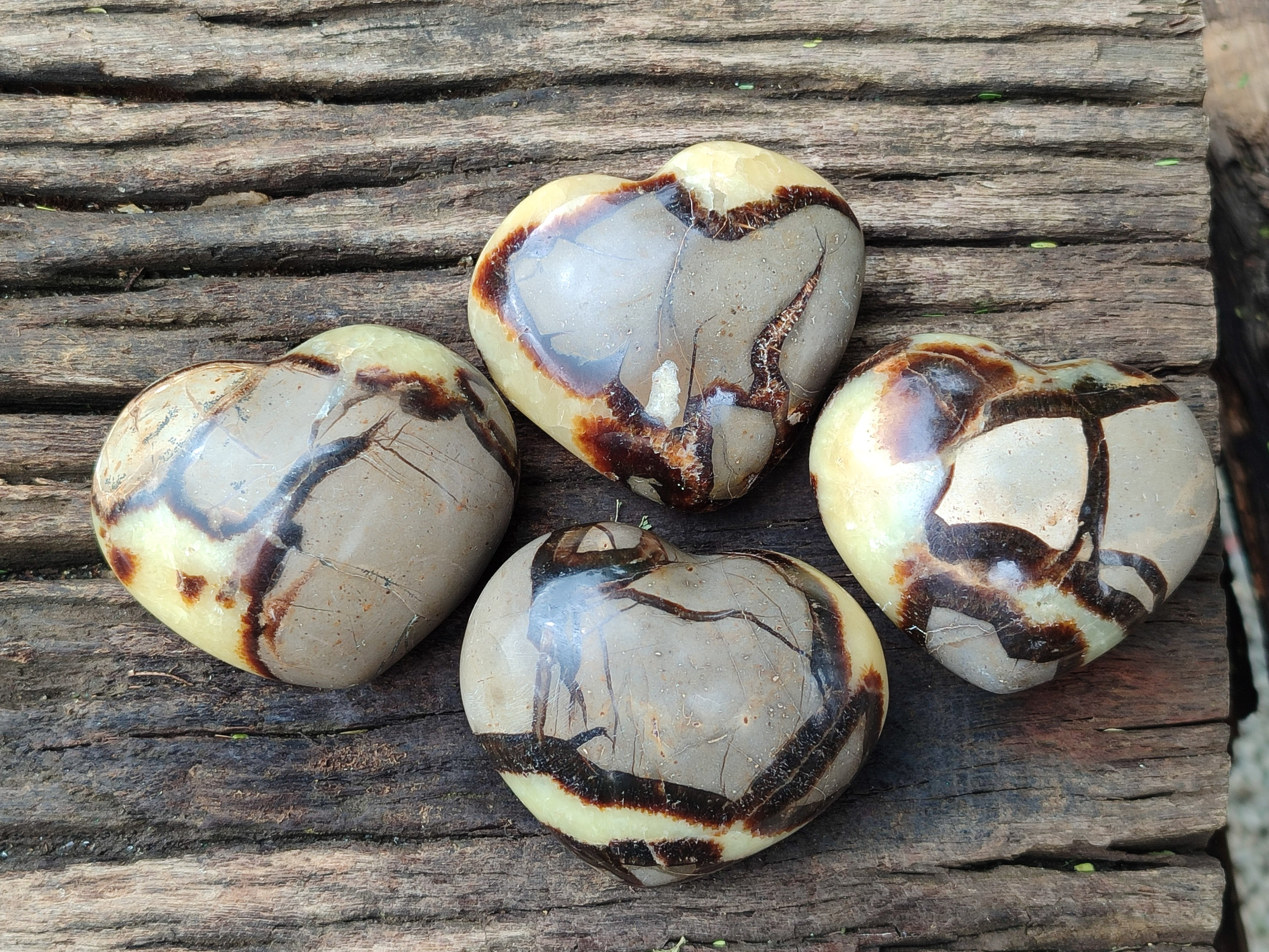 Polished Septerye Hearts 65mm -Sold Per Item- From Mahajanga, Madagascar - Toprock Gemstones and Minerals 