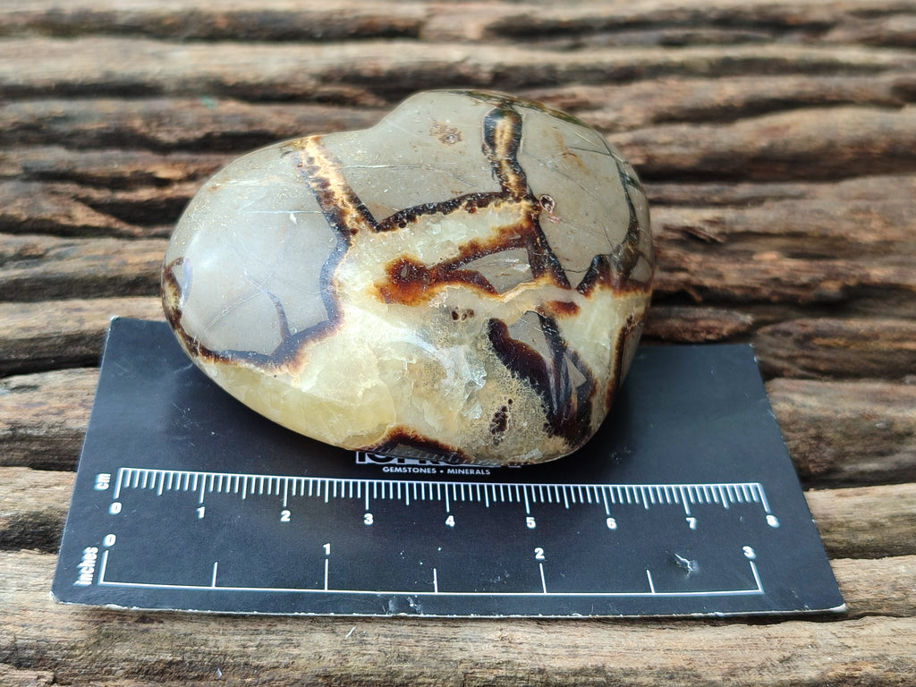 Polished Septerye Hearts 65mm -Sold Per Item- From Mahajanga, Madagascar - Toprock Gemstones and Minerals 