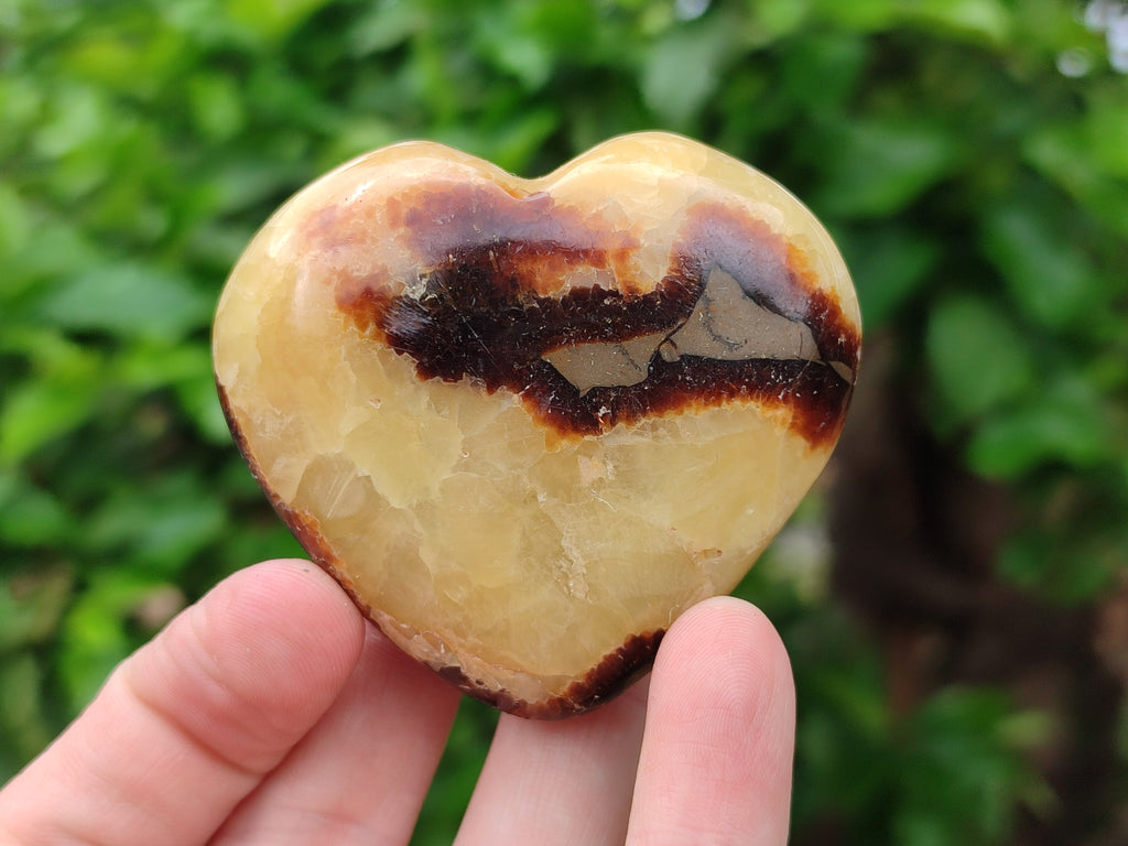 Polished Septerye Hearts 65mm -Sold Per Item- From Mahajanga, Madagascar - Toprock Gemstones and Minerals 