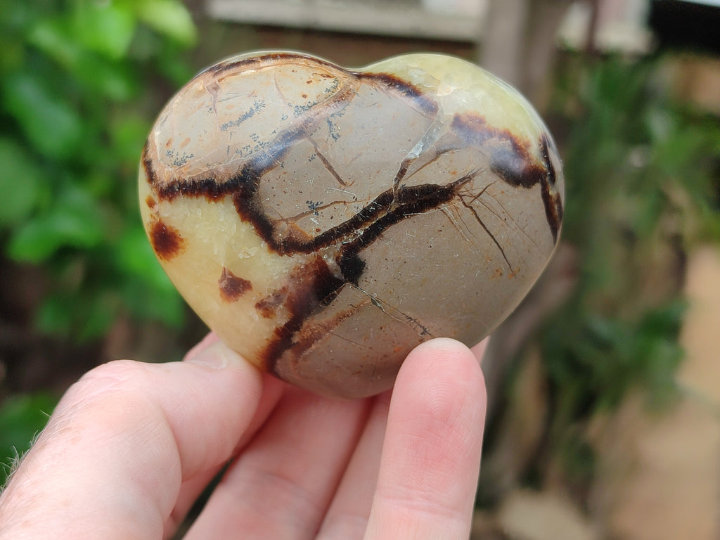 Polished Septerye Hearts 65mm -Sold Per Item- From Mahajanga, Madagascar - Toprock Gemstones and Minerals 