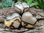Polished Septerye Hearts 65mm -Sold Per Item- From Mahajanga, Madagascar - Toprock Gemstones and Minerals 