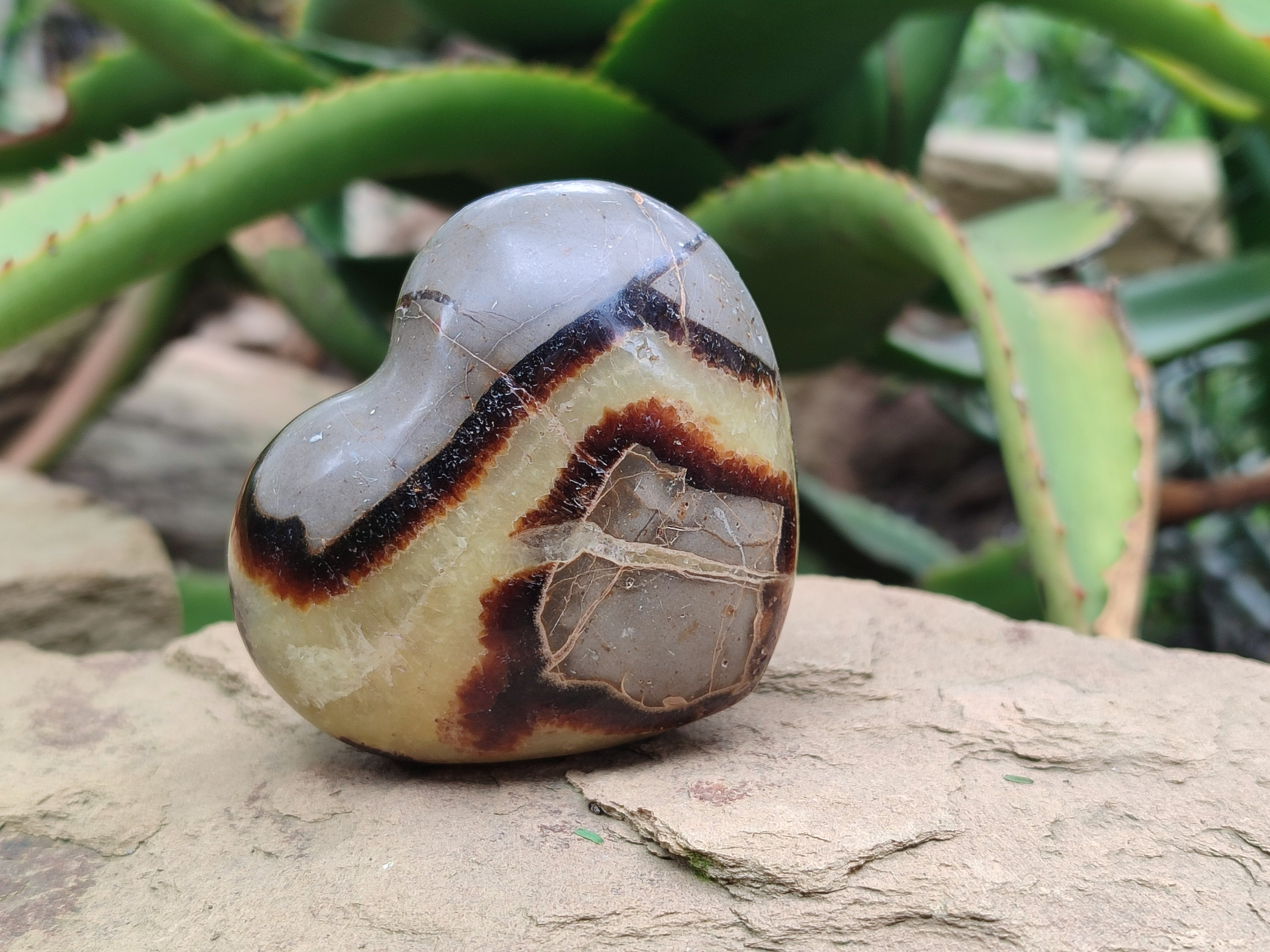 Polished Septerye Hearts 65mm -Sold Per Item- From Mahajanga, Madagascar - Toprock Gemstones and Minerals 