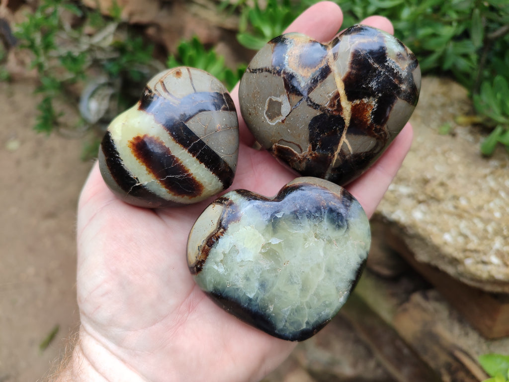 Polished Septerye Hearts 65mm -Sold Per Item- From Mahajanga, Madagascar - Toprock Gemstones and Minerals 