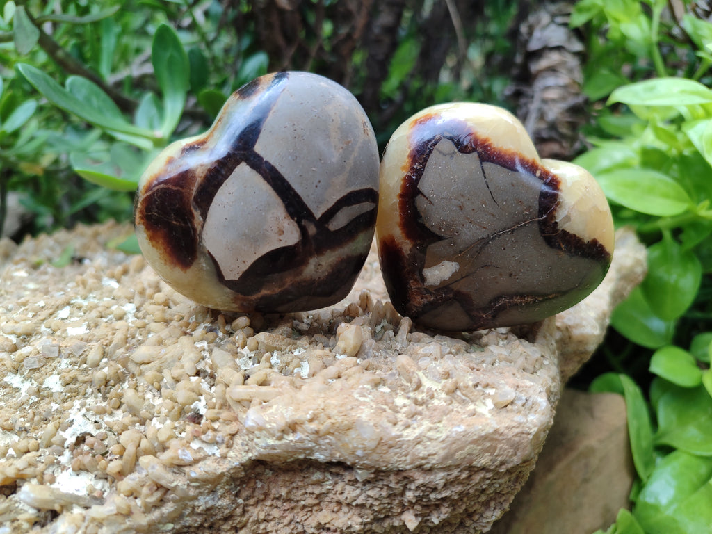 Polished Septerye Hearts 65mm -Sold Per Item- From Mahajanga, Madagascar - Toprock Gemstones and Minerals 