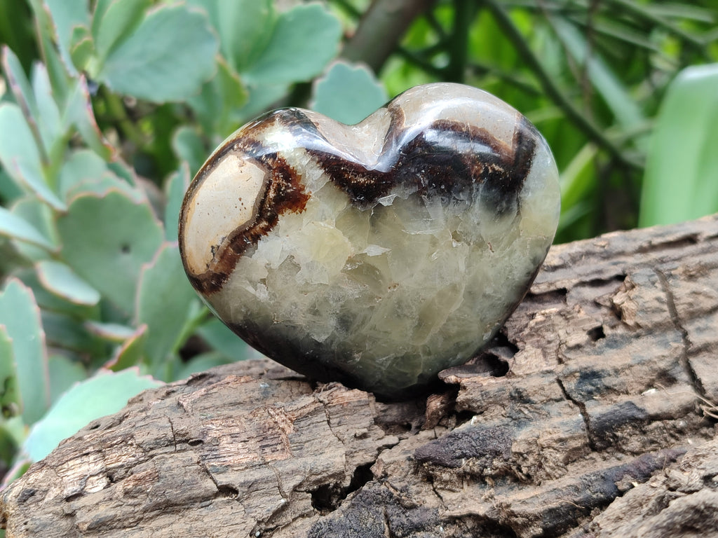 Polished Septerye Hearts 65mm -Sold Per Item- From Mahajanga, Madagascar - Toprock Gemstones and Minerals 