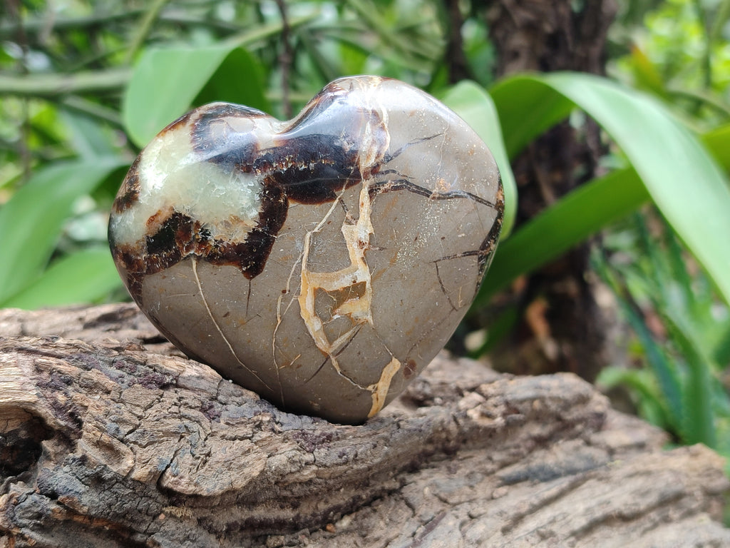Polished Septerye Hearts 65mm -Sold Per Item- From Mahajanga, Madagascar - Toprock Gemstones and Minerals 