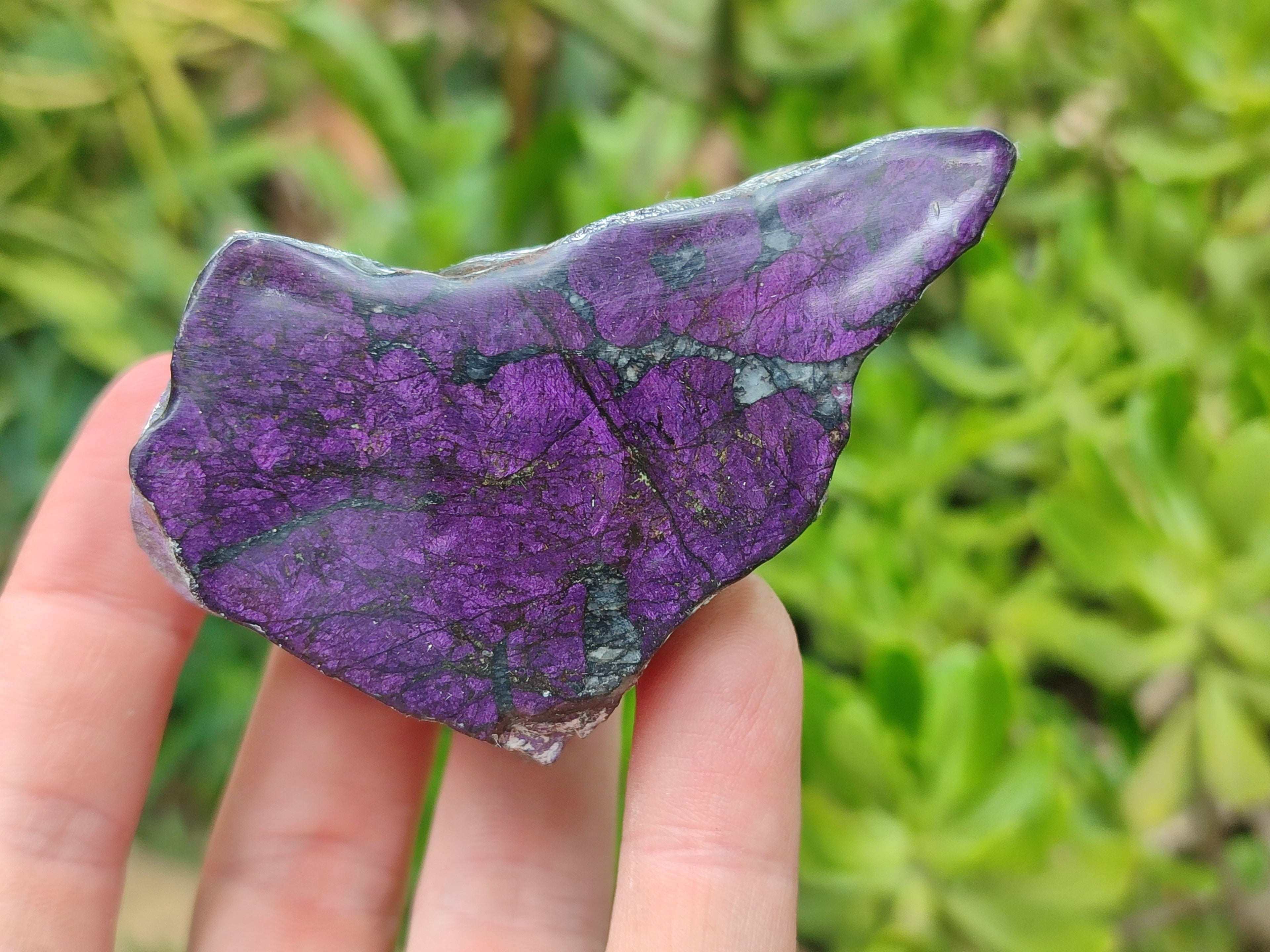 Polished On One Side Metallic Purpurite x 6 From Namibia - Toprock Gemstones and Minerals 