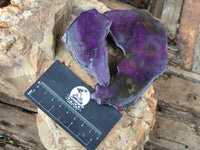 Polished On One Side Metallic Purpurite x 6 From Namibia - Toprock Gemstones and Minerals 