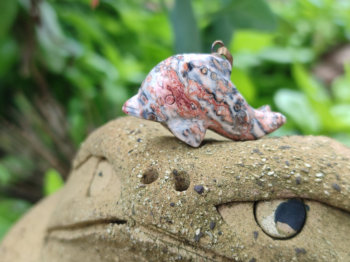 Polished Mixed Set Of 12 Gemstone Dolphin Pendants - Sold Per Box - From Southern Africa - Toprock Gemstones and Minerals 