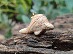 Polished Mixed Set Of 12 Gemstone Dolphin Pendants - Sold Per Box - From Southern Africa - Toprock Gemstones and Minerals 