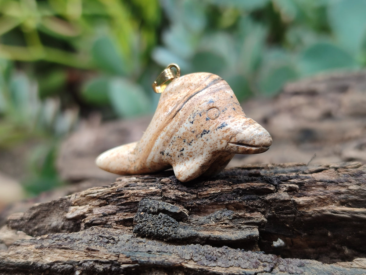 Polished Mixed Set Of 12 Gemstone Dolphin Pendants - Sold Per Box - From Southern Africa - Toprock Gemstones and Minerals 