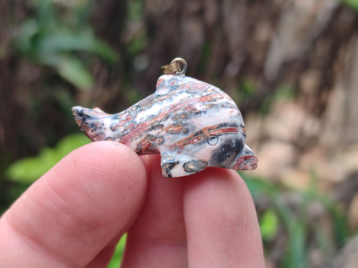 Polished Mixed Set Of 12 Gemstone Dolphin Pendants - Sold Per Box - From Southern Africa - Toprock Gemstones and Minerals 