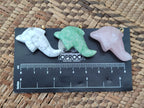 Polished Mixed Set Of 12 Gemstone Dolphin Pendants - Sold Per Box - From Southern Africa - Toprock Gemstones and Minerals 