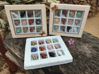 Polished Mixed Set Of 12 Gemstone Dolphin Pendants - Sold Per Box - From Southern Africa - Toprock Gemstones and Minerals 