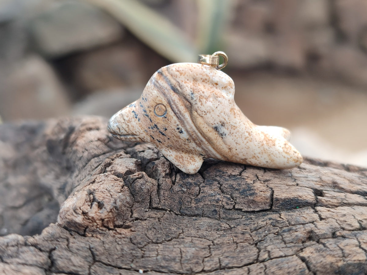 Polished Mixed Set Of 12 Gemstone Dolphin Pendants - Sold Per Box - From Southern Africa - Toprock Gemstones and Minerals 