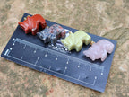 Hand Made Mixed Box Set of 12 Gemstone Elephant Pendants with Gold Clasp - Sold Per Box - From World - Toprock Gemstones and Minerals 