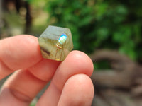 Hand Made Mixed Box Set of 20 Gemstone Dice Pendants with Gold Clasp - Sold Per Box - From World