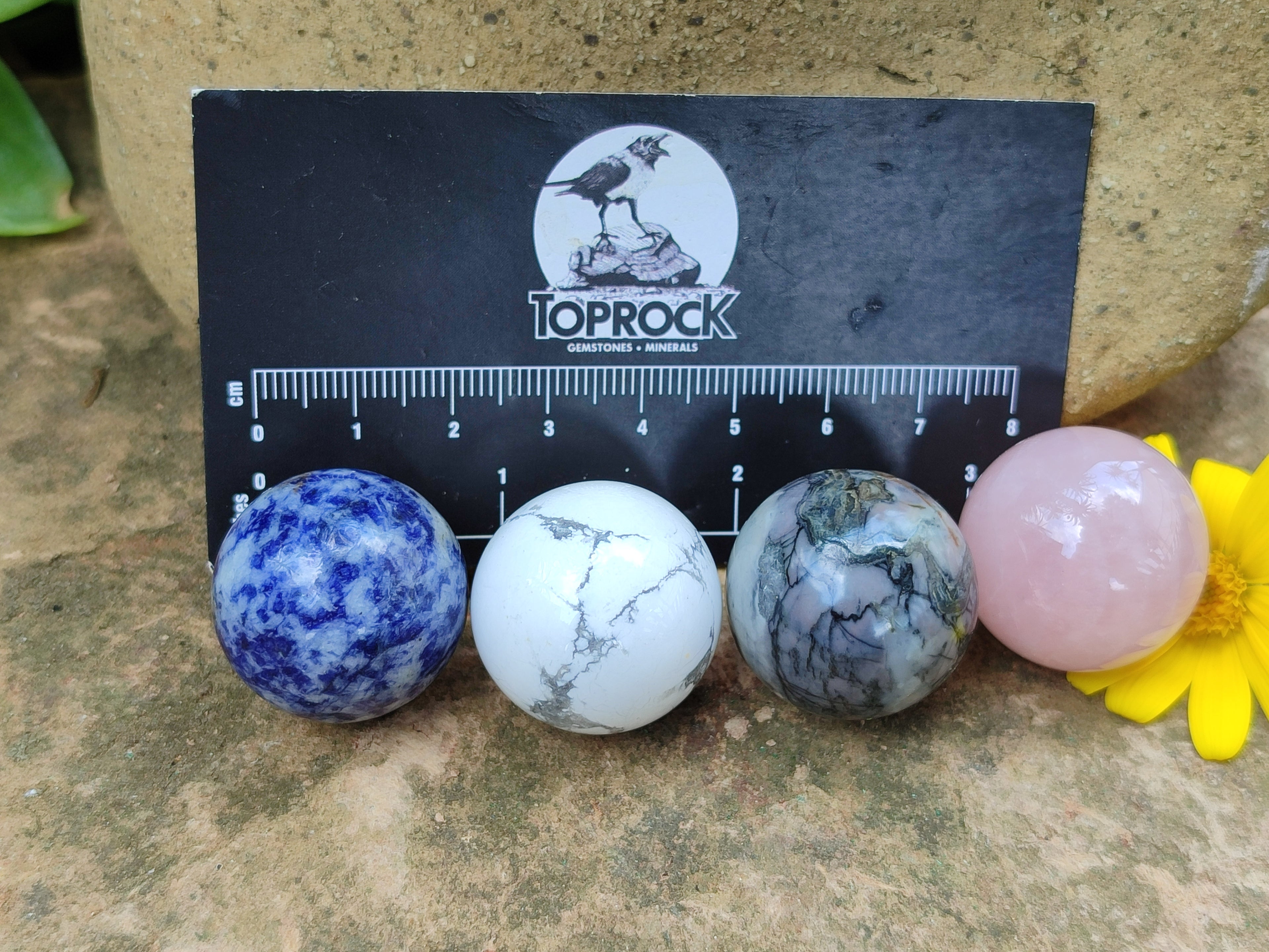 Polished Mixed Box Set of 12 Mini Gemstone Sphere - Sold Per Box - From World - Toprock Gemstones and Minerals 