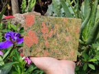 Hand Made Unakite Jewellery Box - Sold per Item - From South Africa - Toprock Gemstones and Minerals 